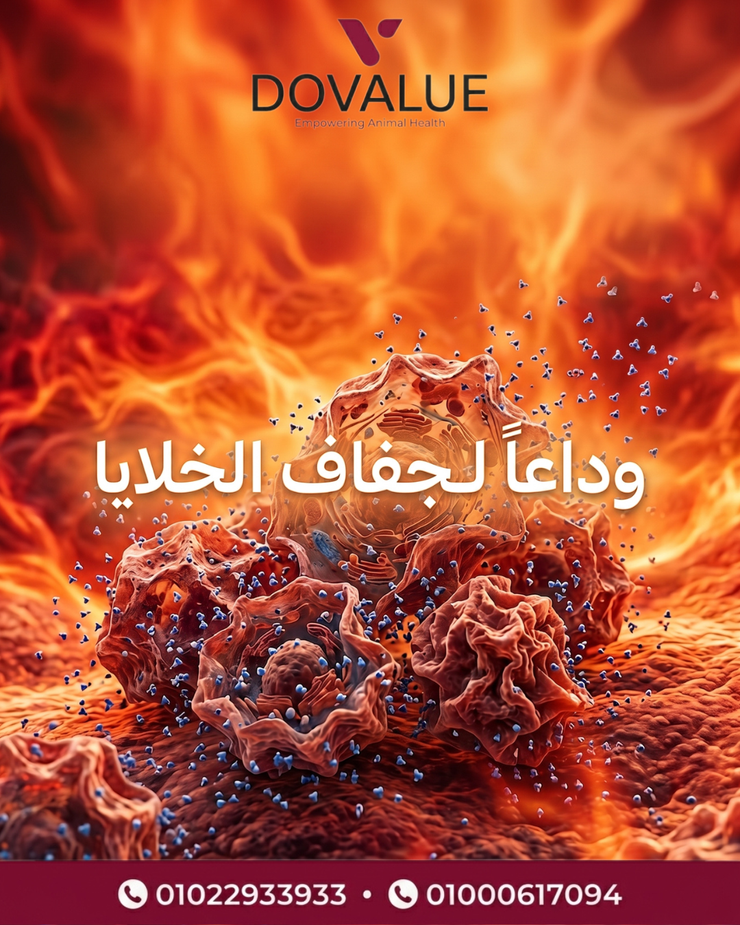 الشريحة 1